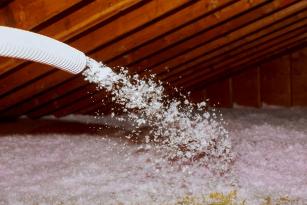 Best Commercial Insulation in Brookfield, IL