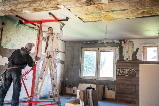 Best Specialized Insulation Services in Brookfield, IL