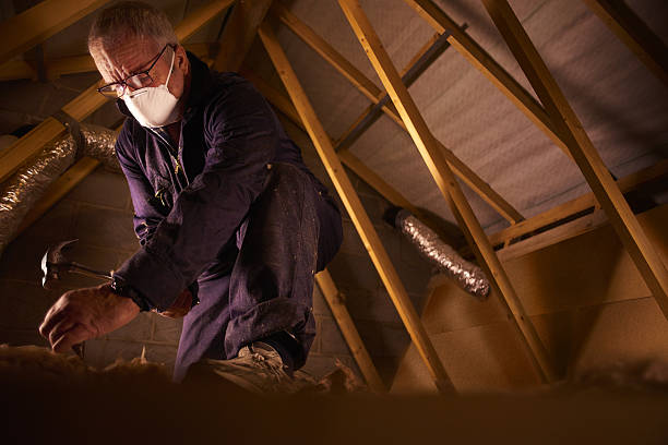 Trusted Brookfield, IL Insulation Contractor Experts